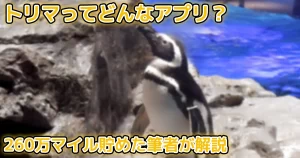 トリマは本当にポイントが貯まる？330万マイル以上貯めた筆者が解説