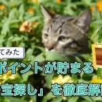 【使ってみた】ガチ攻略!1日でどれくらい貯まる?「ねこの宝探し」を解説