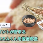 【使ってみた】ガチ攻略!1日でどれくらい貯まる?「P発酵!ススムくん(ポイ活 発酵!ススムくん)」を解説