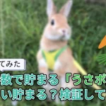 【使ってみた】放置・歩数で貯まる「うさポ」とは？どれくらい貯まる？検証してみた