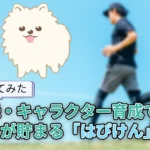 【使ってみた】はぴけんとは?健康記録・キャラクター育成でポイントが貯まるアプリを調査